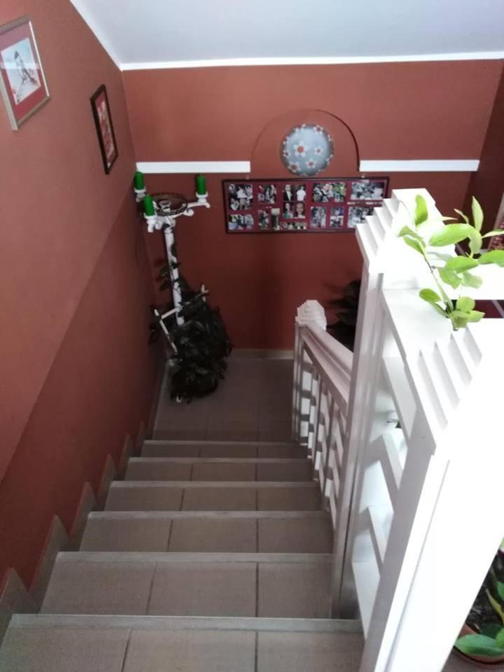 Apartman Vrdnicak 维尔蒂尼克 外观 照片