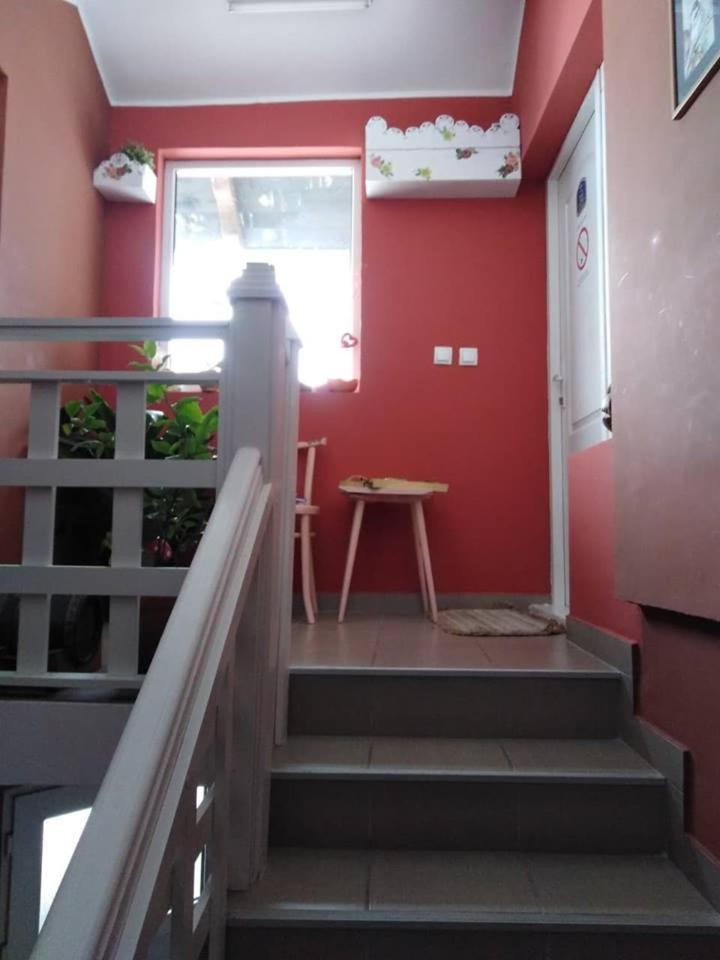 Apartman Vrdnicak 维尔蒂尼克 外观 照片