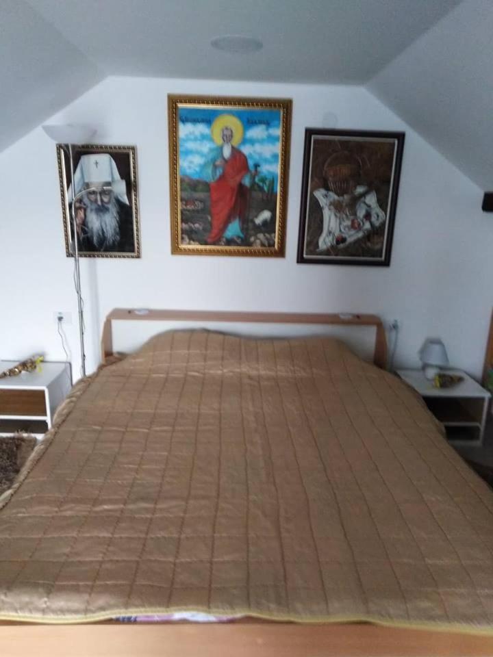 Apartman Vrdnicak 维尔蒂尼克 外观 照片